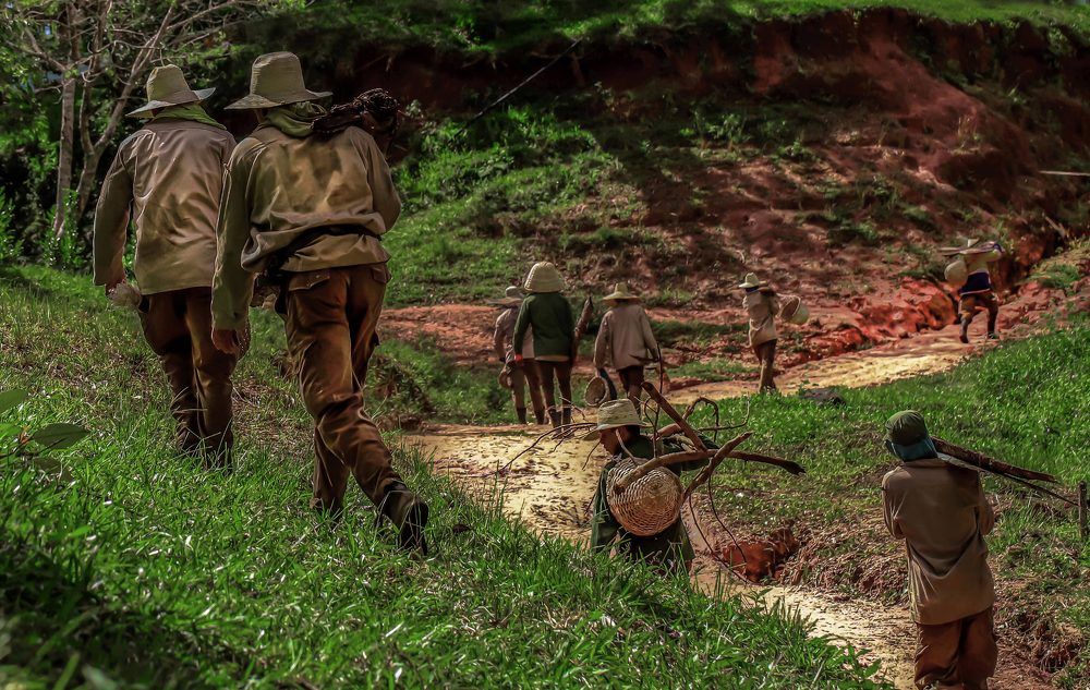 Photograph by Frank Cobo.blanco