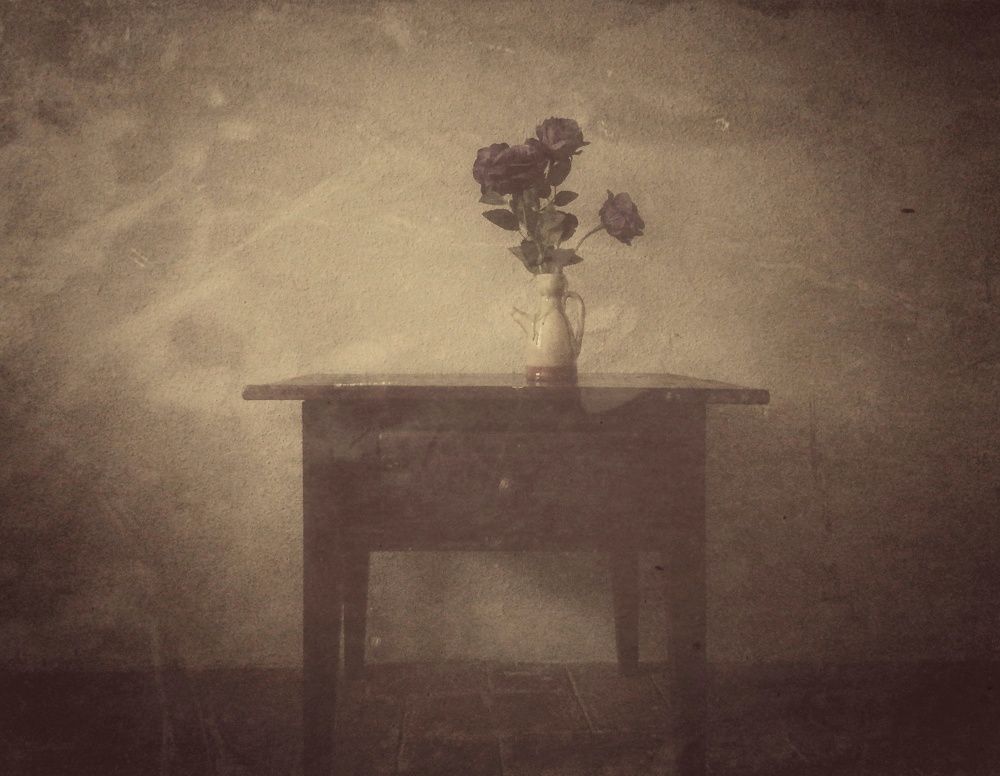 Photograph by Prodaniuc Vasile