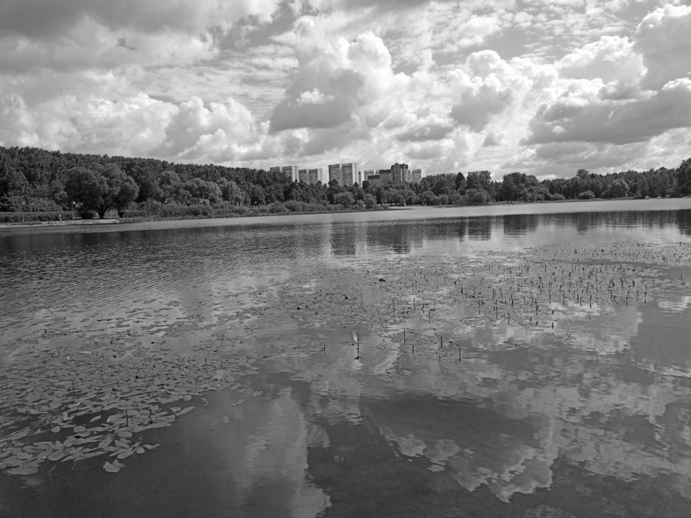 Photograph by Александр Козлов