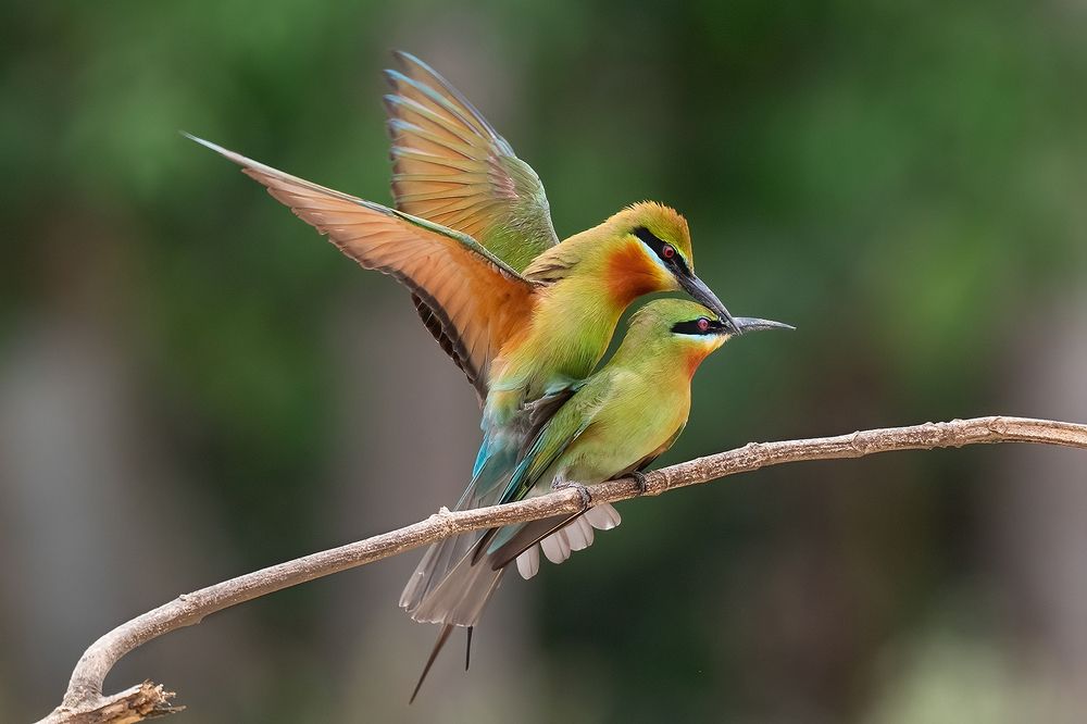 Photograph by Soumik Sengupta