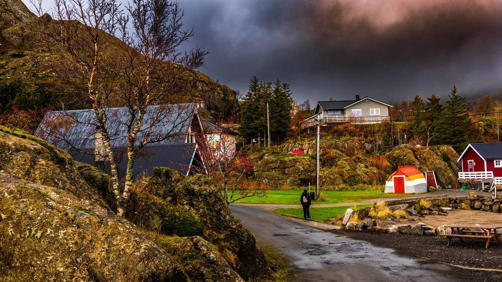 Autumn Colors of the North