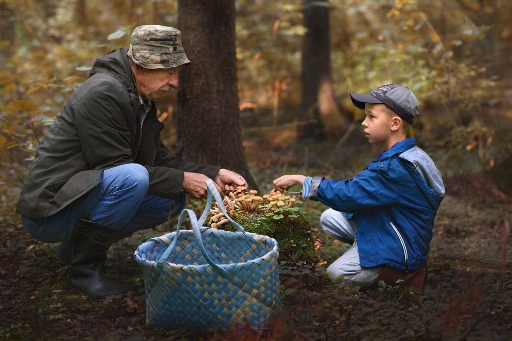 Photograph by Алексей Леухин