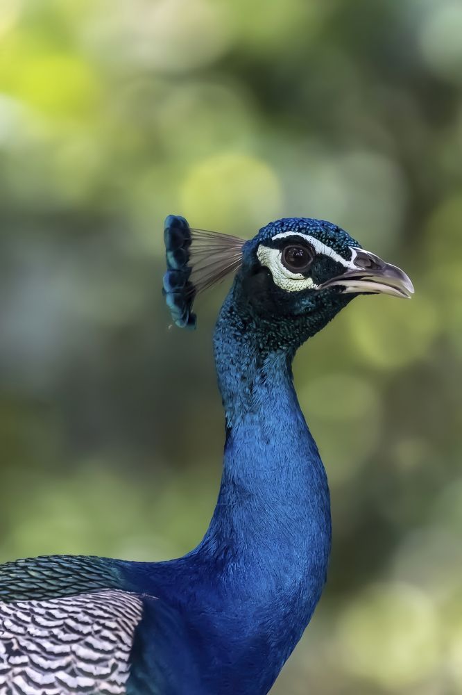 Photograph by Sekhar Kiran Krishanan