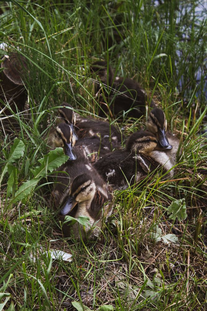 Photograph by Anna Dubinina