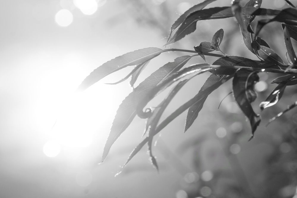 Photograph by Виктория Хмара