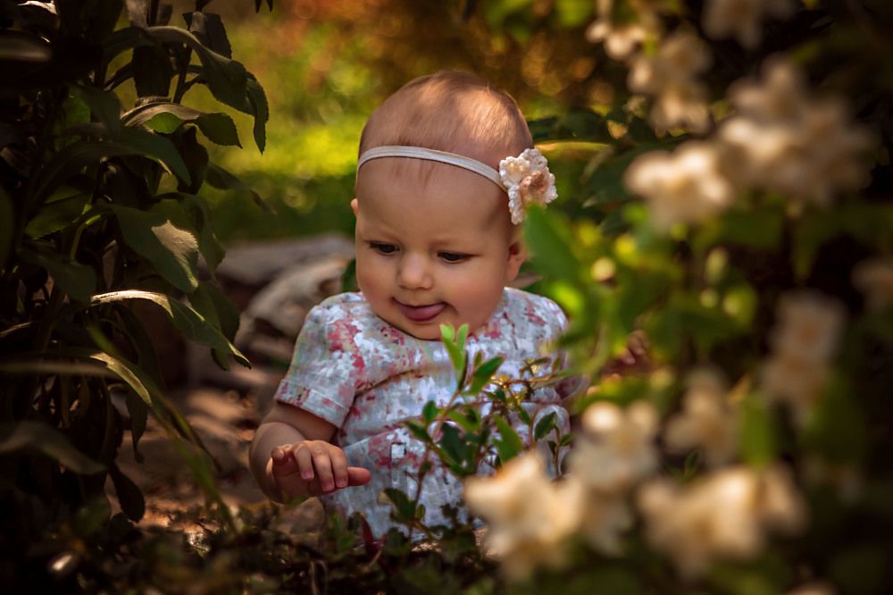 Photograph by Анастасия Большуткина