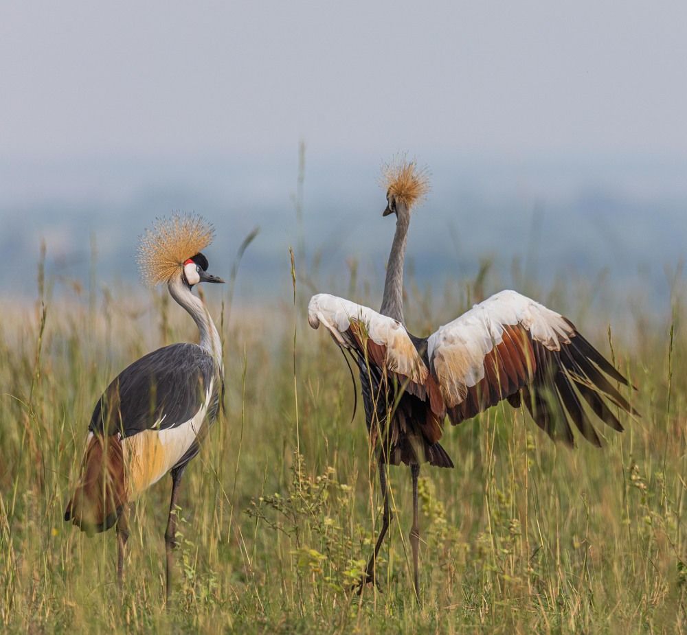 Photograph by Илья Поляк