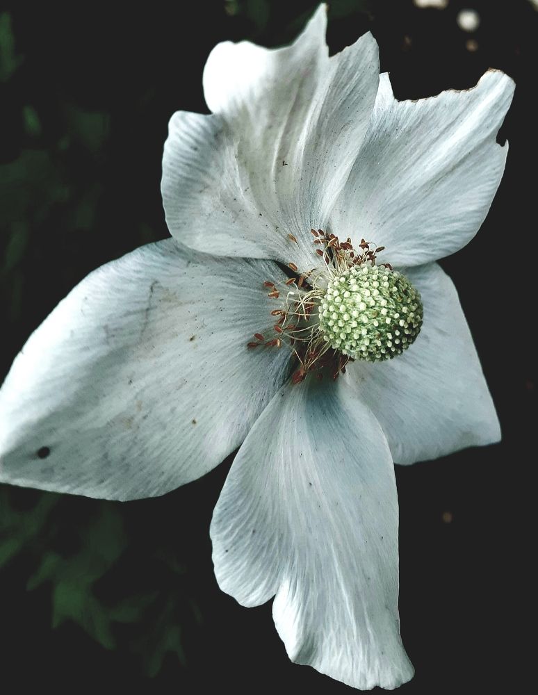 Photograph by Ольга