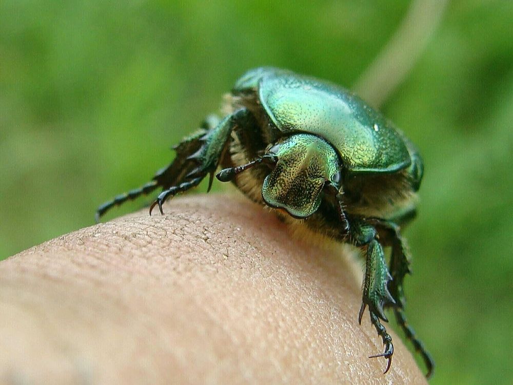 Фотография автора Павел Попов