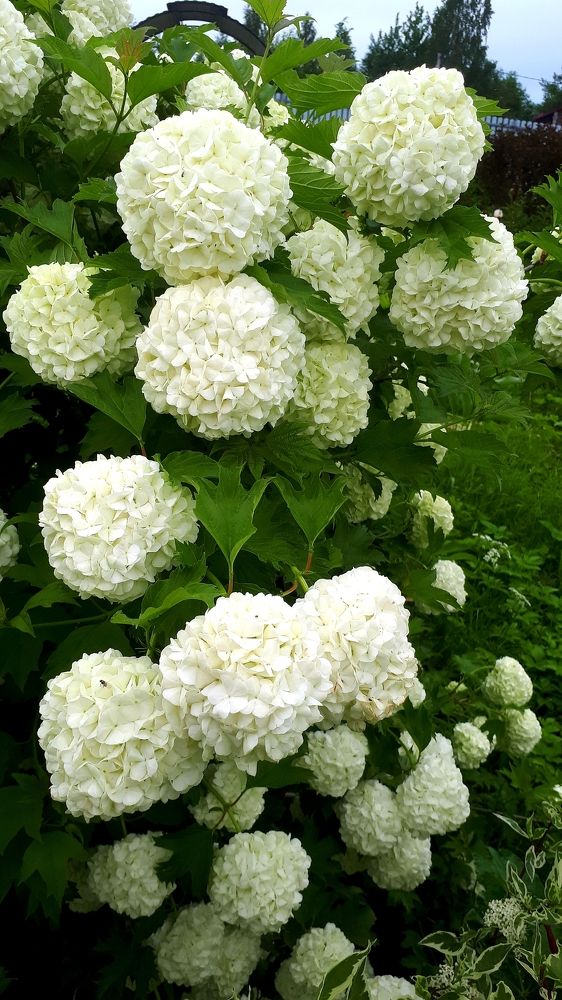 Photograph by Дмитрий Крюков