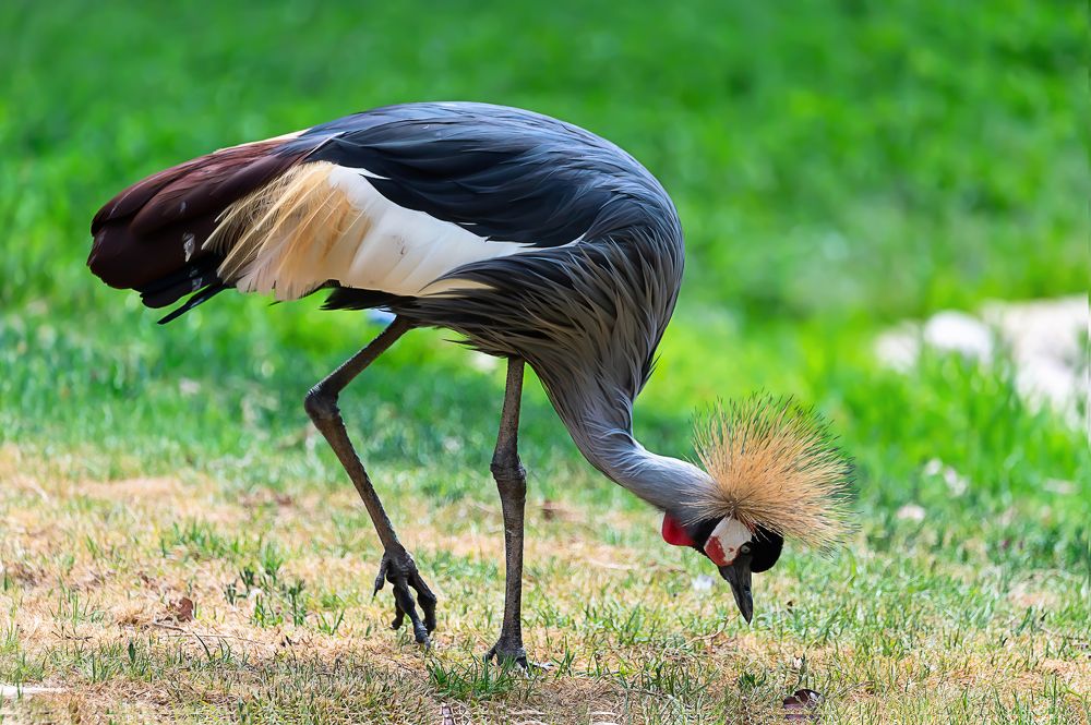 Photograph by David Lerer