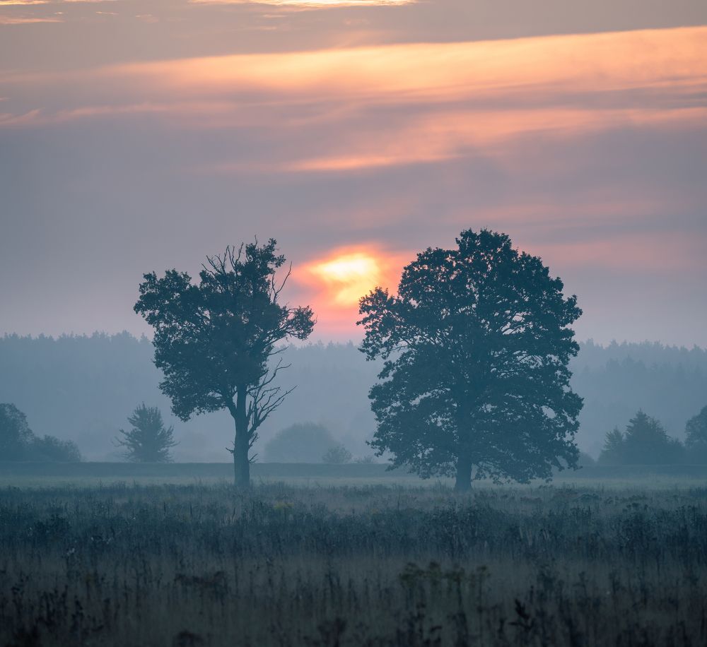 Photograph by Владимир Ликман