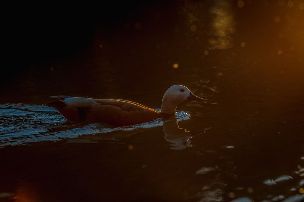 Photograph by Sergey Uskov