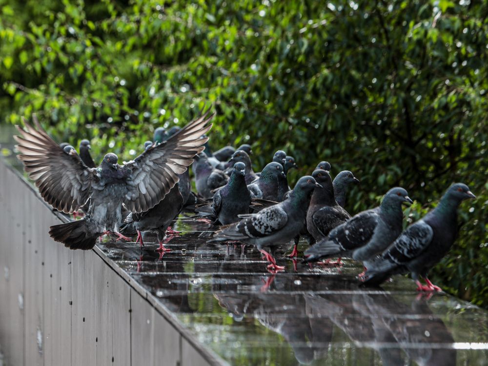 Photograph by Sergey Uskov