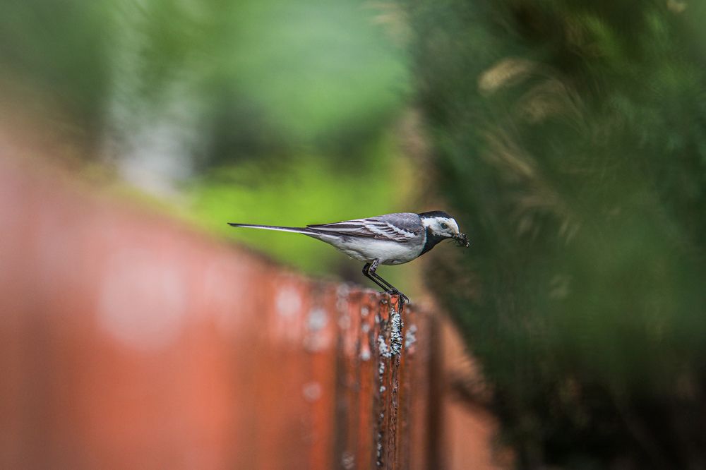 Photograph by Sergey Uskov