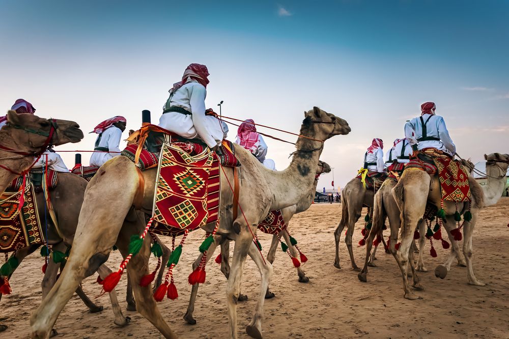 Traditional Camel Safari