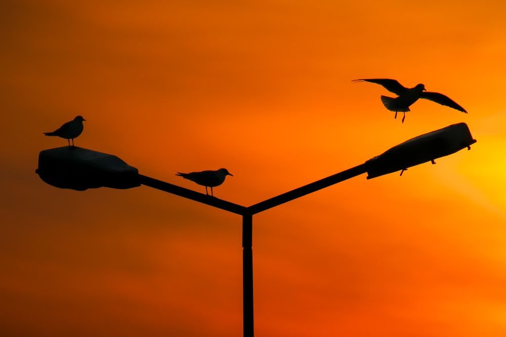 Photograph by Emir Tetik