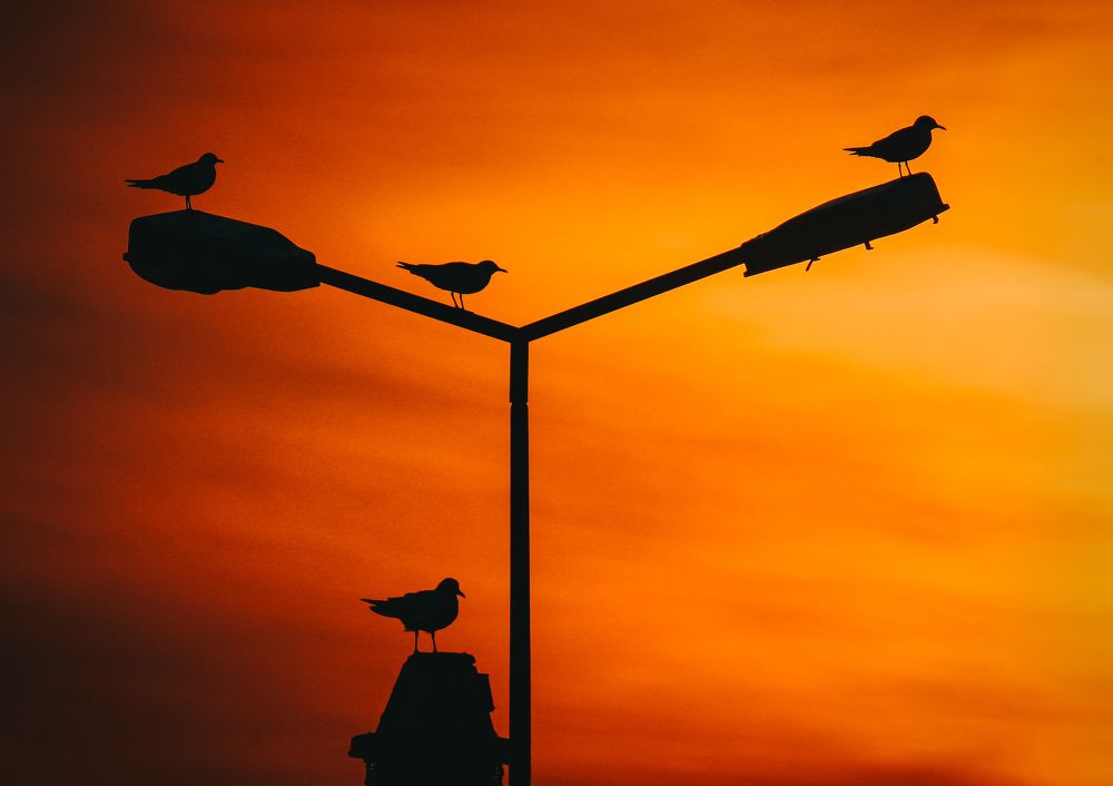 Photograph by Emir Tetik