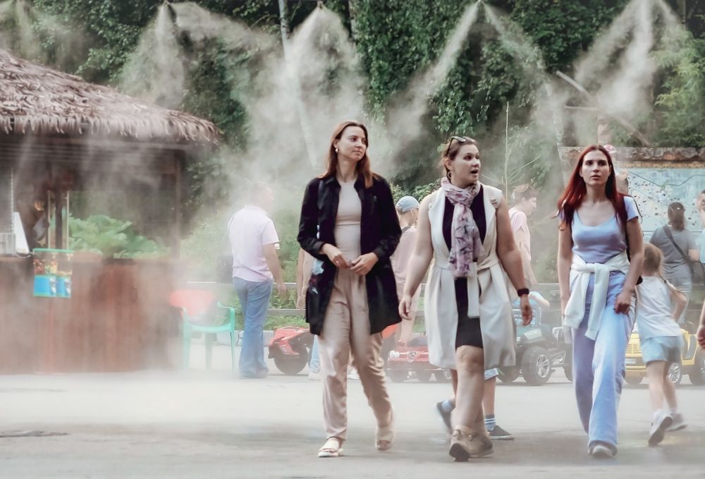 Девушки в парке