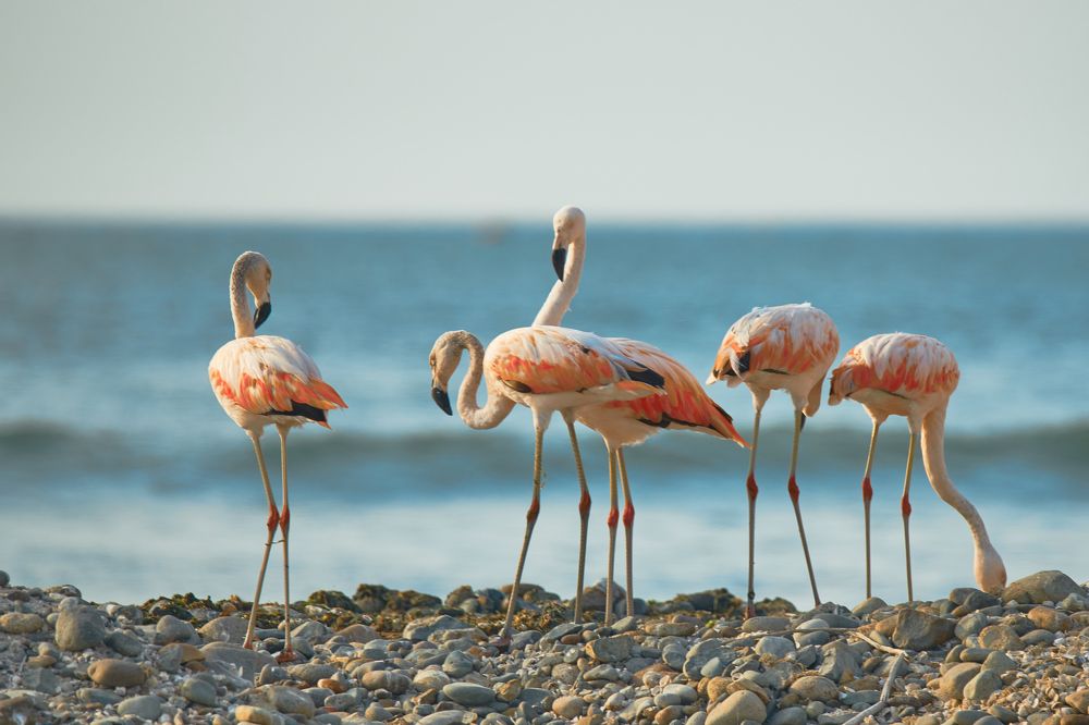 Фотография автора Mino Swayne