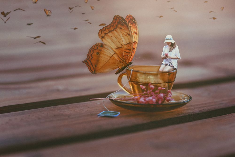 Фотография автора Vanesa Coulleri