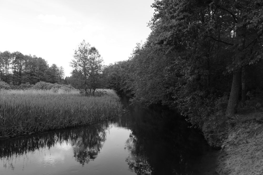 Photograph by Иван Скрипкин