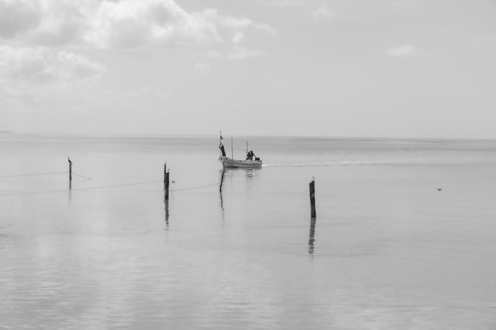 Photograph by Joaquin Silva