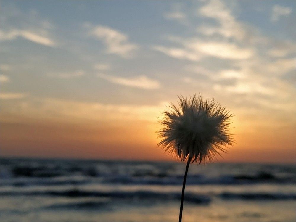 Photograph by Яна Щипицына