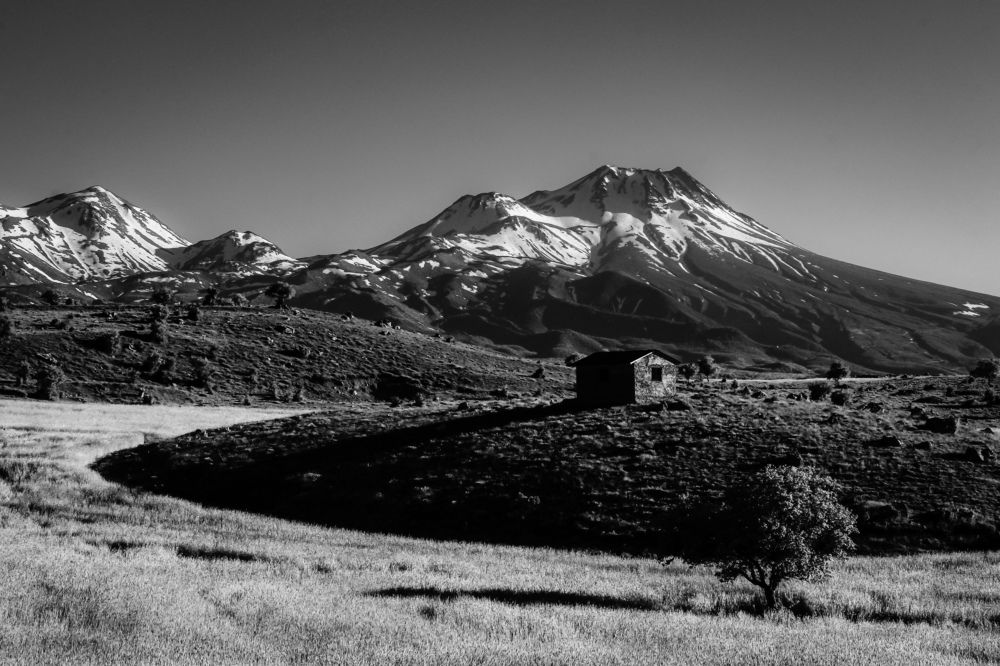 Photograph by Emir Tetik