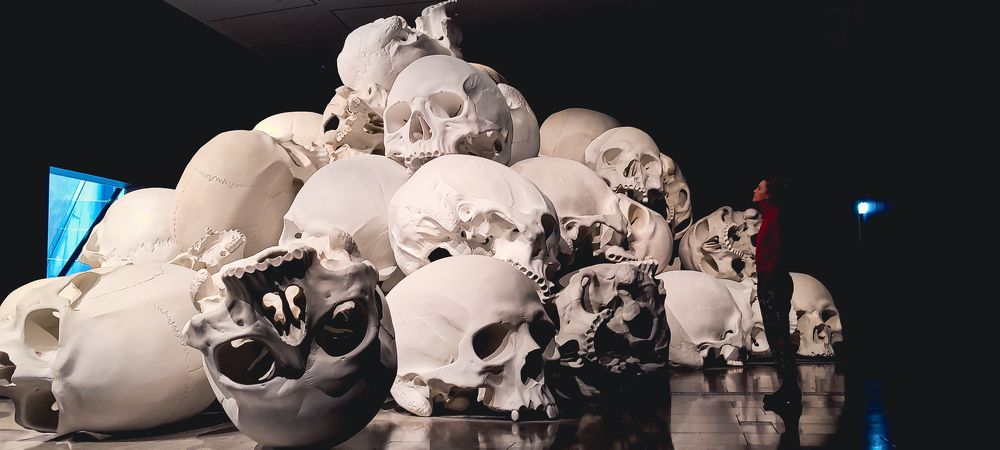 Photograph by KIRAN SOMASUNDAR M