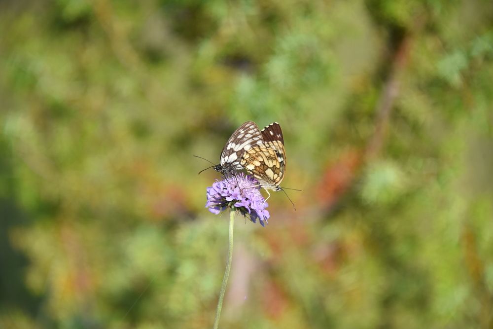 Photograph by Anna Zelinskaya