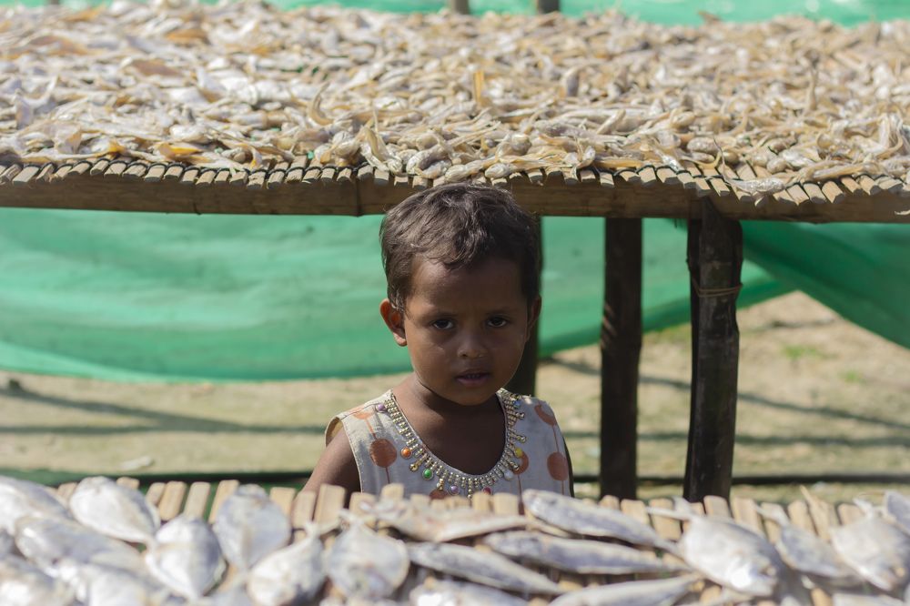 Photograph by Jobayer