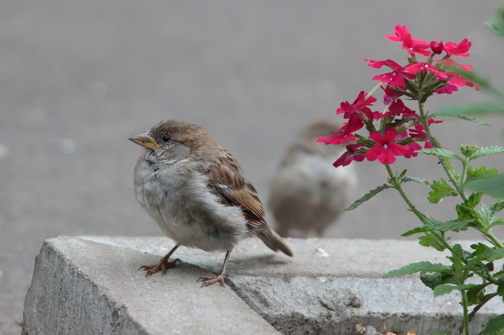 Photograph by Ольга Степанова