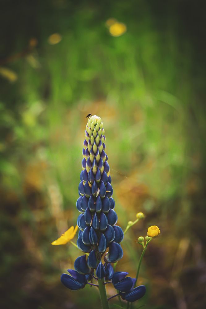 Photograph by Марина Копылова