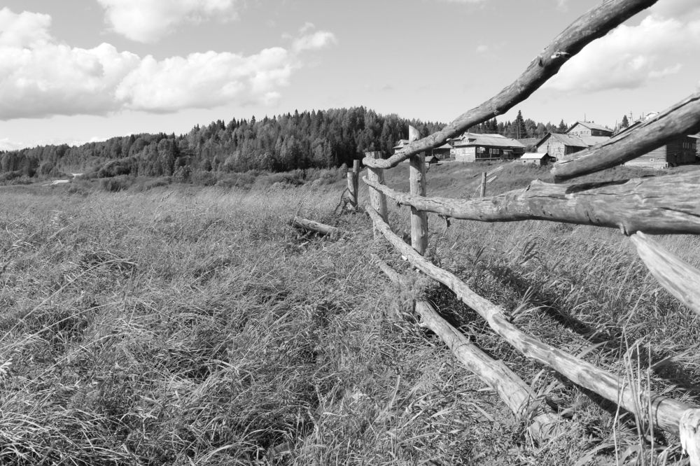 Photograph by Елена Петрова