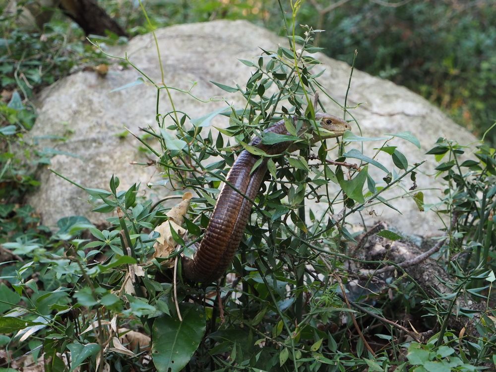 Photograph by Anna Zelinskaya