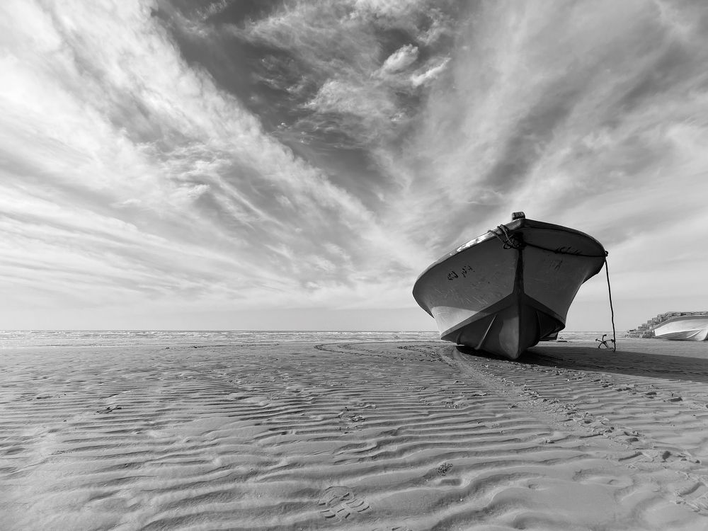 Photograph by mohammad mahmoodpoor