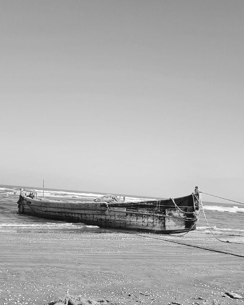 Photograph by amin karimi