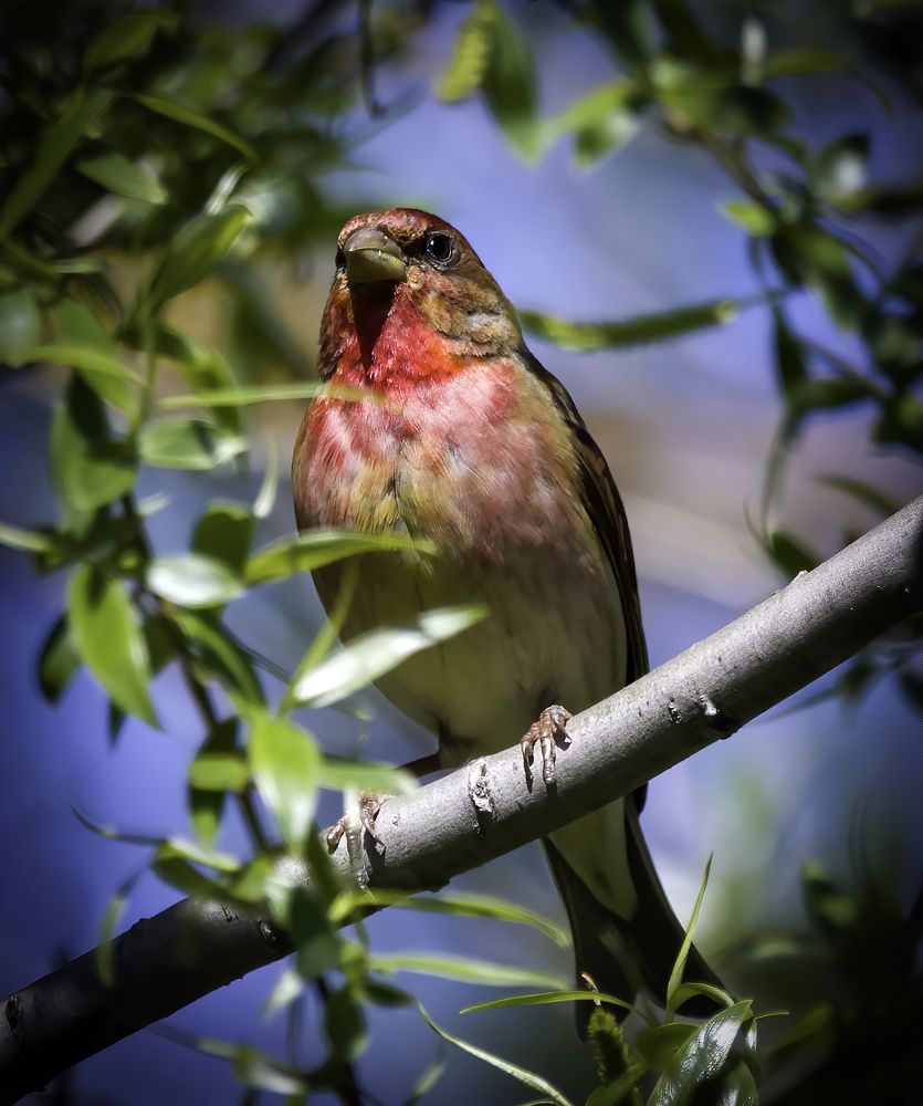 Фотография автора Михаил Ездаков