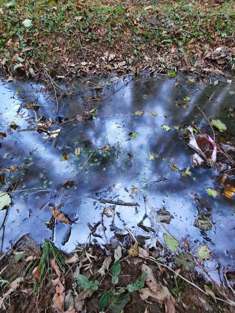 Photograph by amin karimi