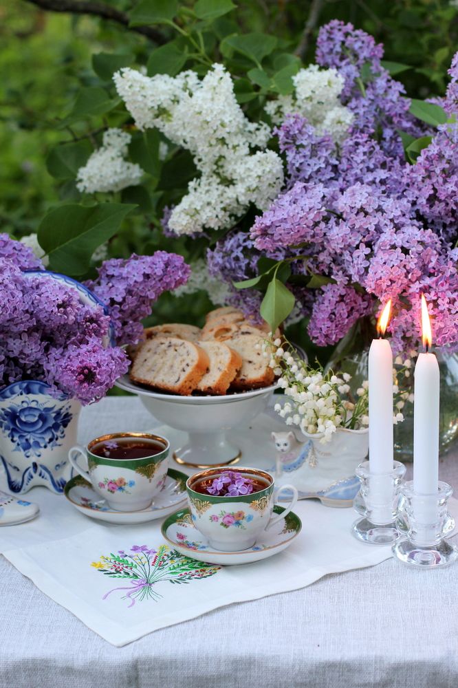 Сиреневый вечер