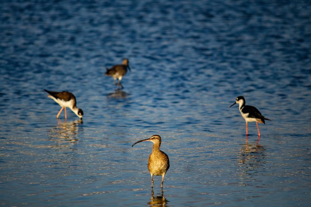 Photograph by Alexandra De la Rosa Zapata