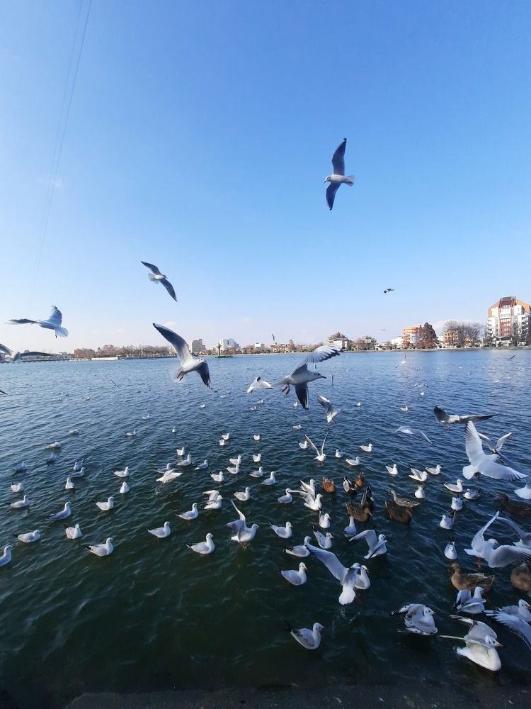 Photograph by amin karimi