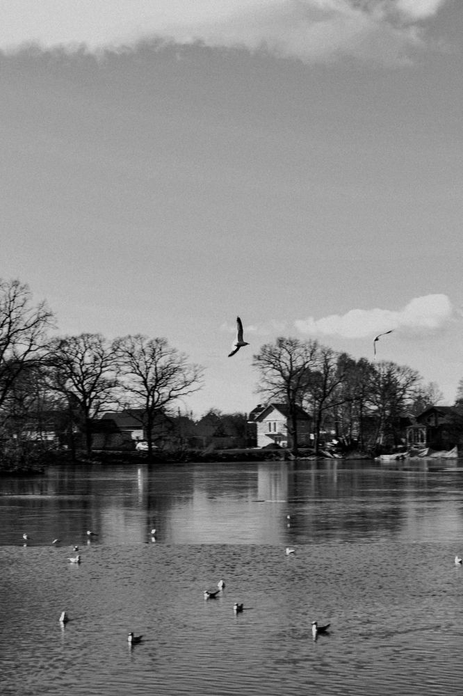 Photograph by Сусанна Аллаярова