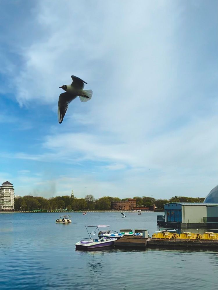 Photograph by Сусанна Аллаярова