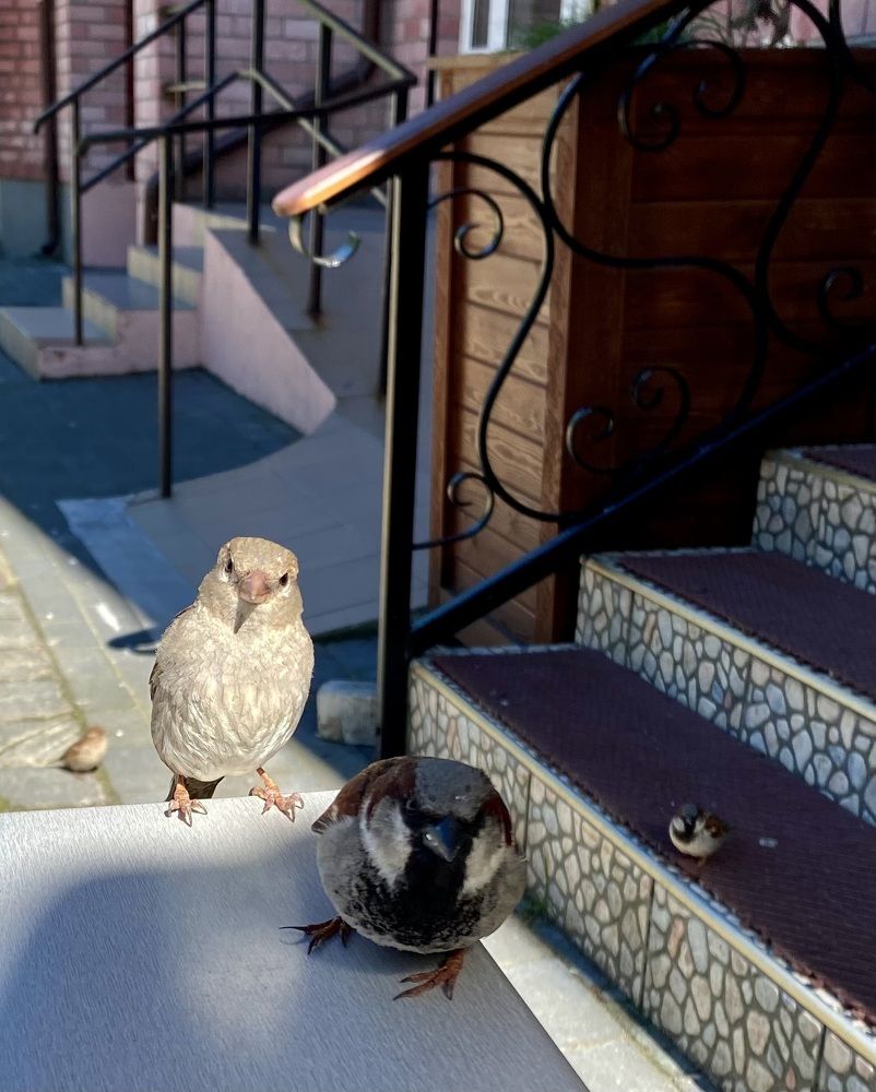 Photograph by Сусанна Аллаярова