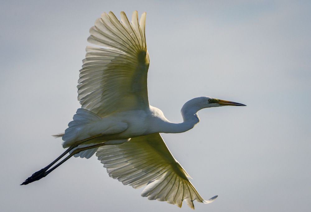 Photograph by Борис Пирог