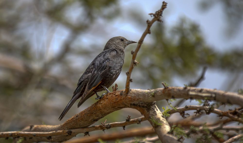 Photograph by Валентина Булкина