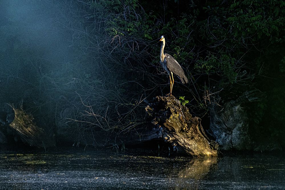 Photograph by Slavko Rošul