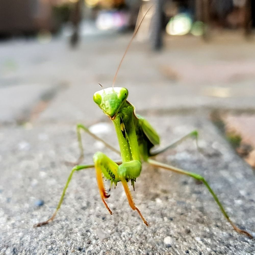 Photograph by Anna Zelinskaya